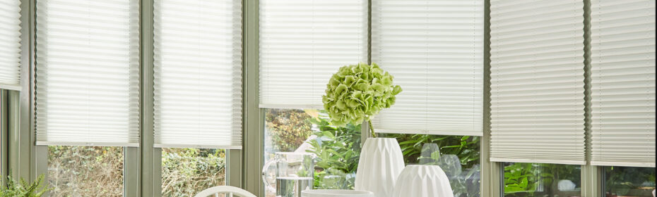 Control heat privacy and light with pleated blinds