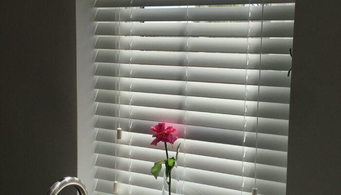 Perfect Venetian blinds For Your Home 