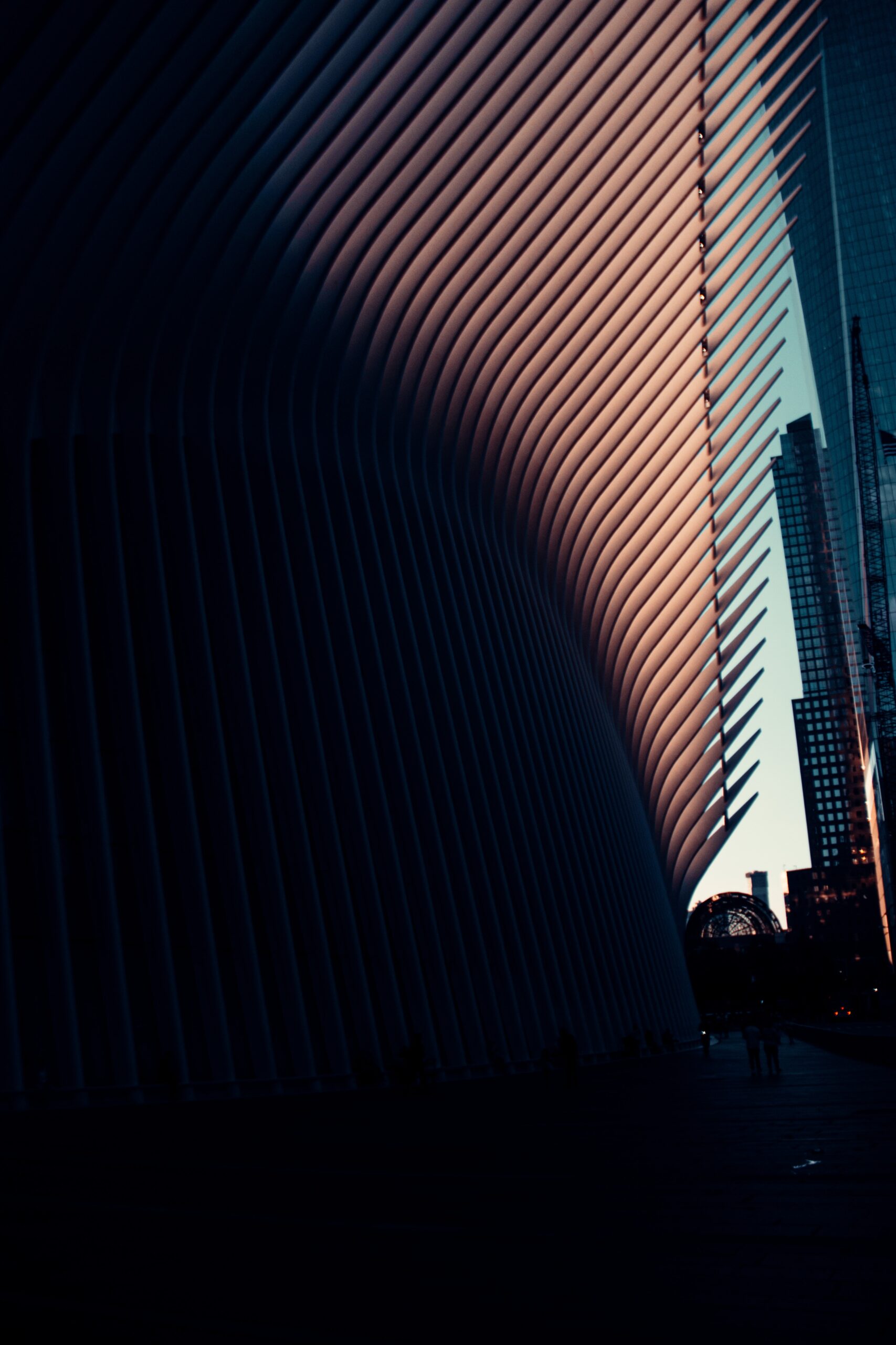 Vertical Blinds vs. Horizontal Blinds